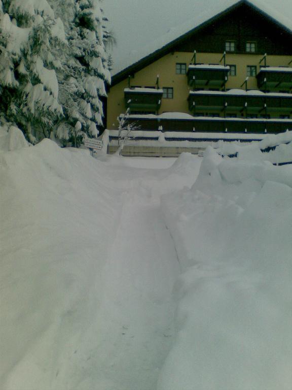 Nevesole Folgarida Resort Aparthotel Eksteriør billede